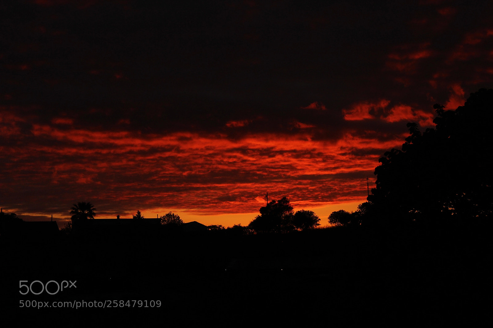 Canon EOS 600D (Rebel EOS T3i / EOS Kiss X5) sample photo. Sky photography