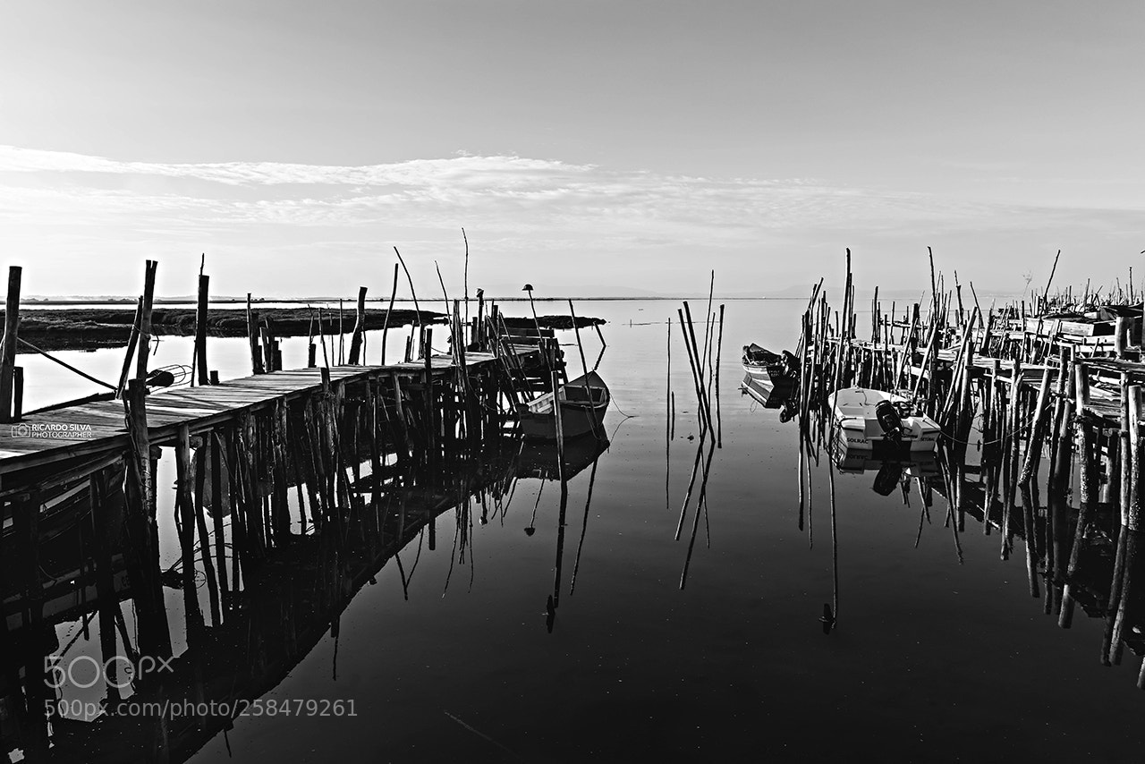 Nikon D810 sample photo. Carrasqueira melancholy photography