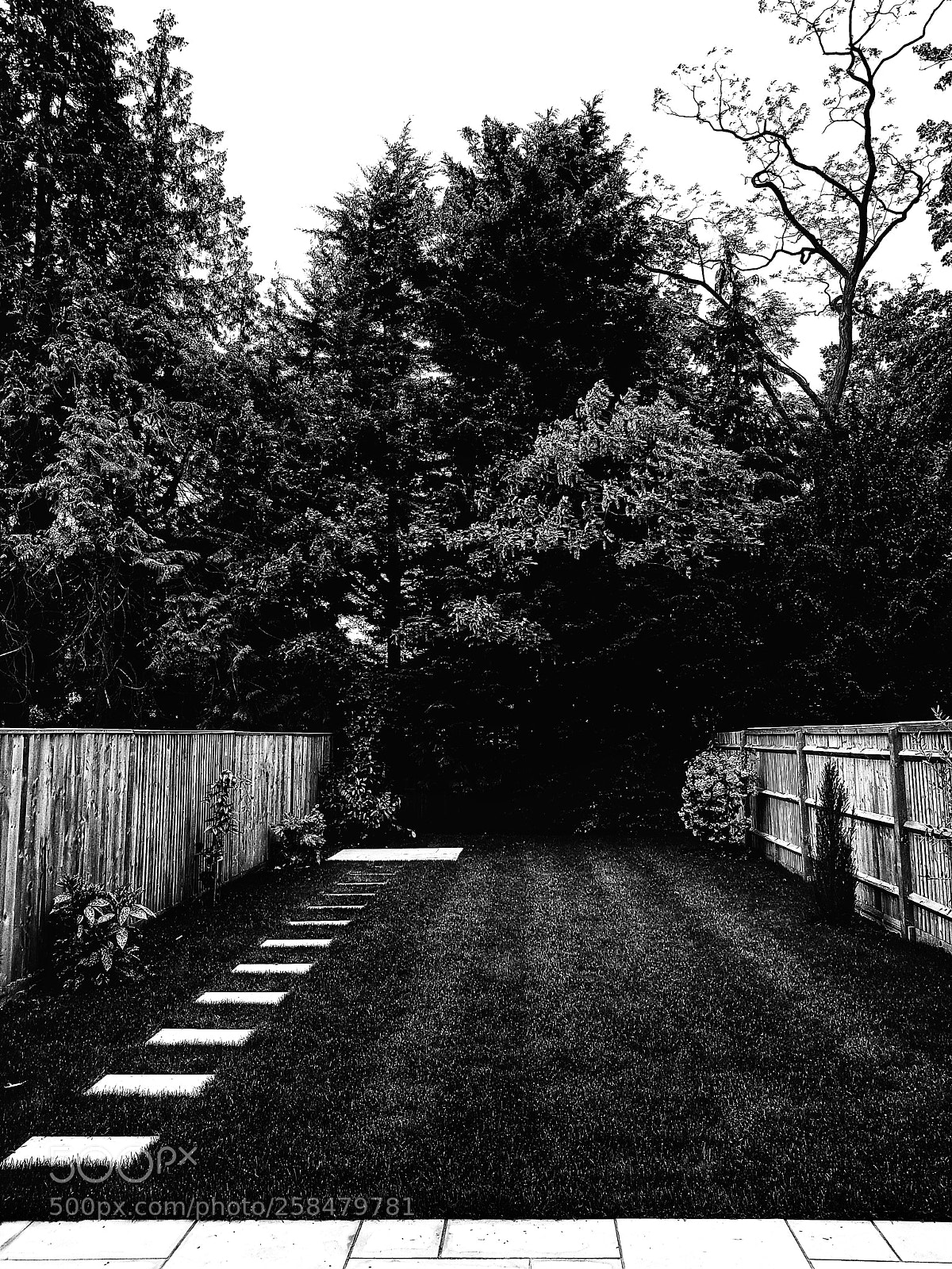 Samsung Galaxy S8 sample photo. The garden. photography