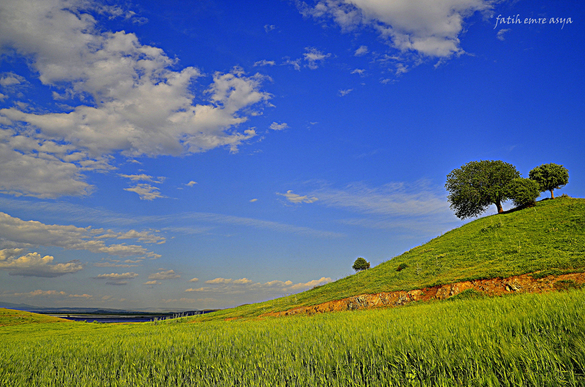 Nikon D7000 sample photo. Spring photography