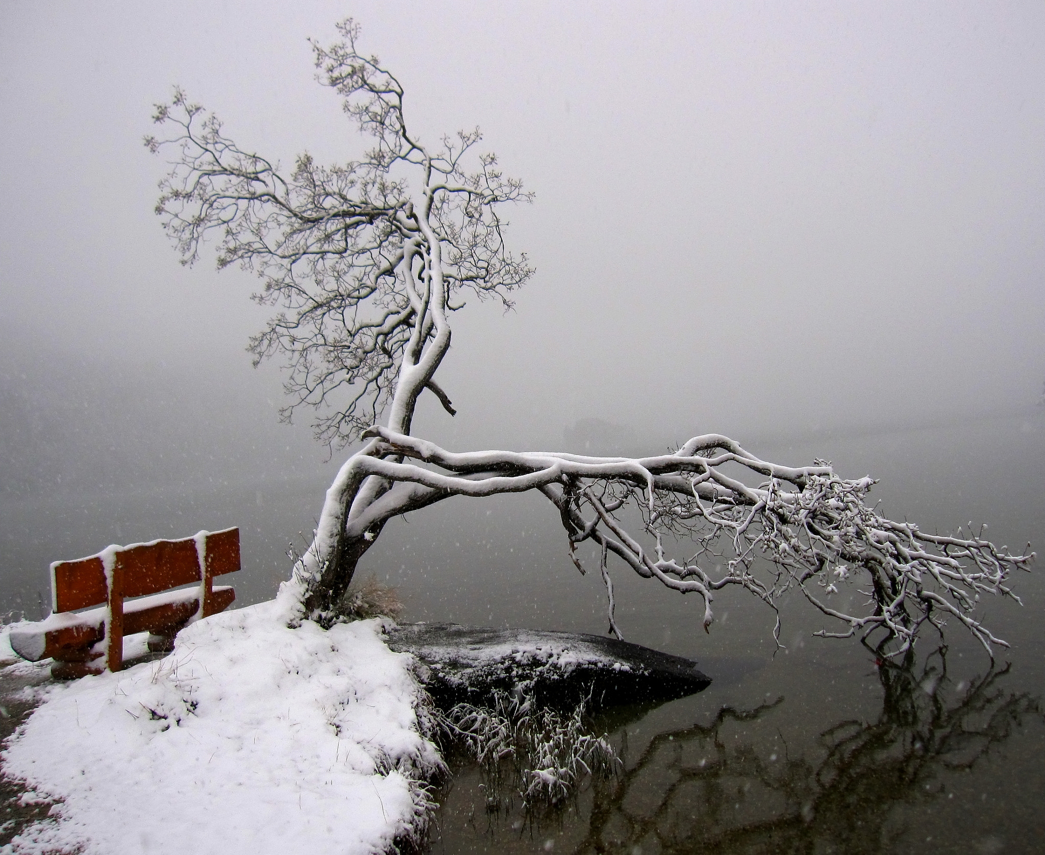 Canon PowerShot SD960 IS (Digital IXUS 110 IS / IXY Digital 510 IS) sample photo. Baum und bank photography