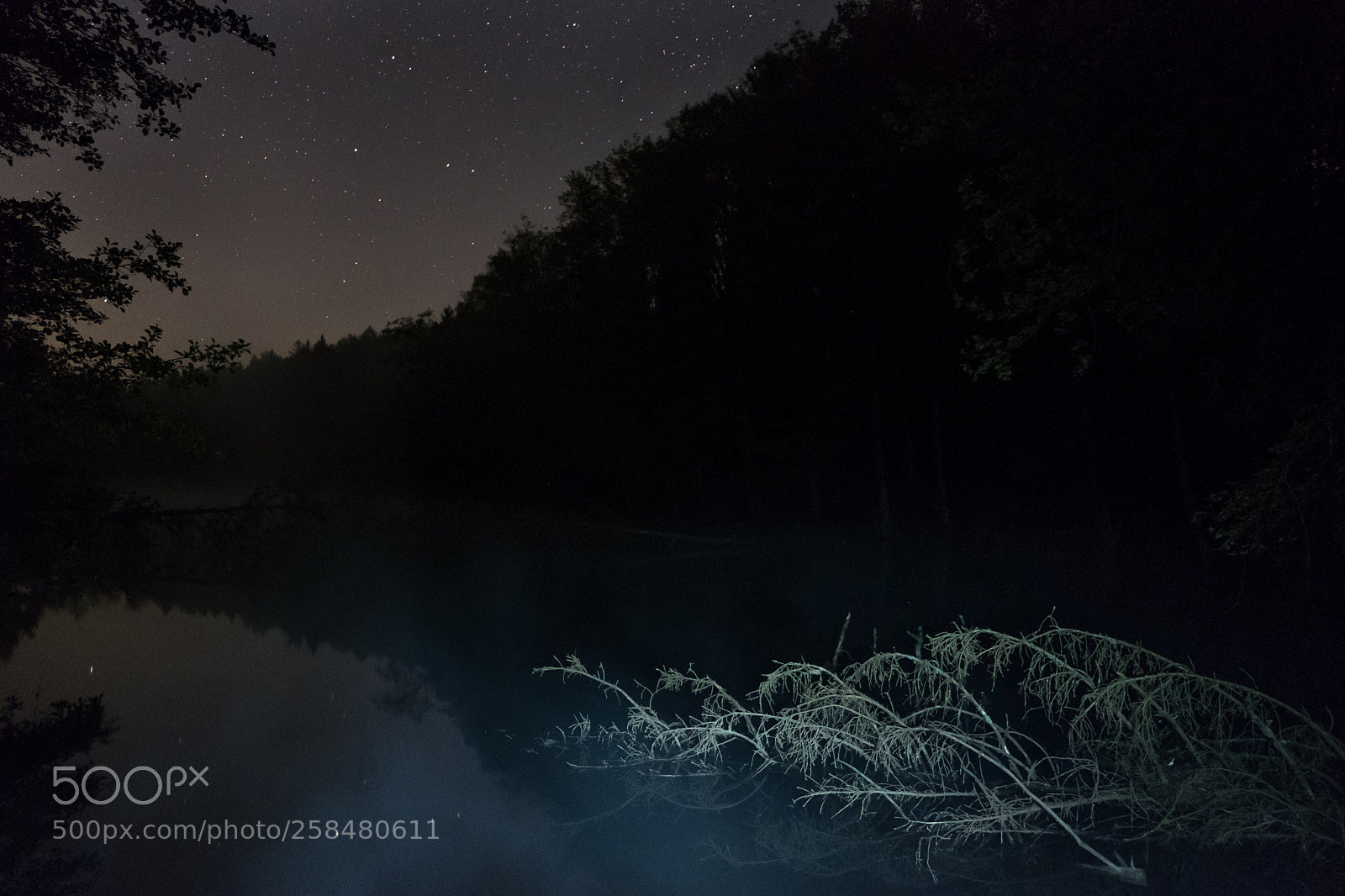 Fujifilm X-T2 sample photo. A night at the photography