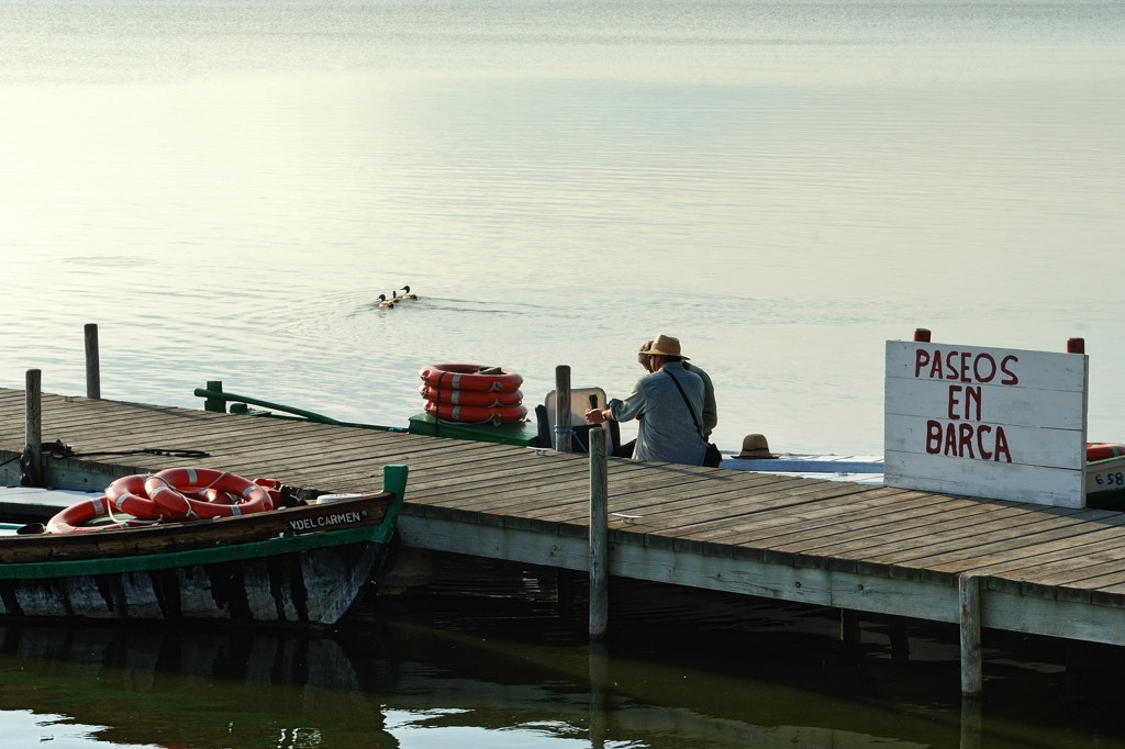 Nikon AF-S Nikkor 24-70mm F2.8G ED sample photo. Albufera photography