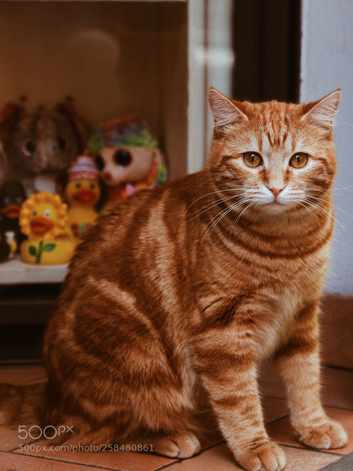 Canon EOS 80D sample photo. Processed with vsco with photography