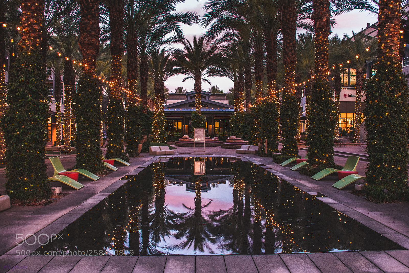 Nikon D5600 sample photo. Morning reflections 6024 photography
