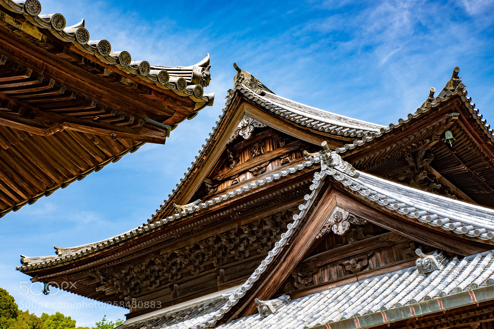 Pentax K-1 sample photo. Curves photography