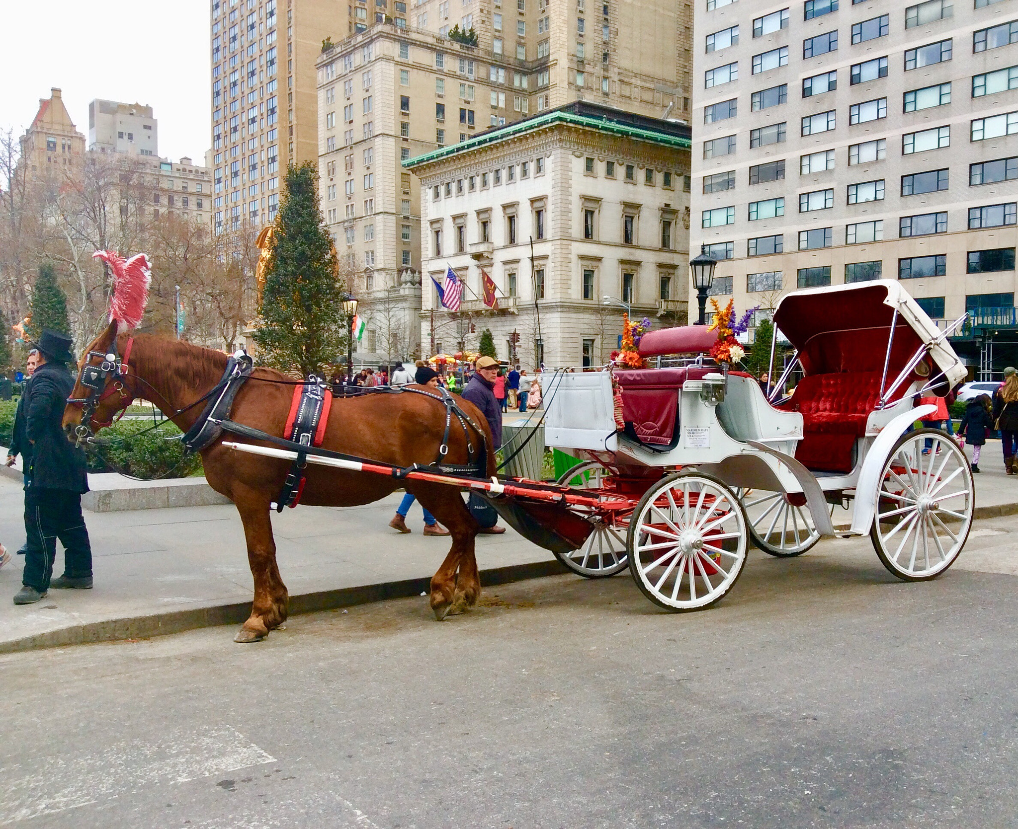 Apple iPad mini 2 sample photo. White horse carriage photography