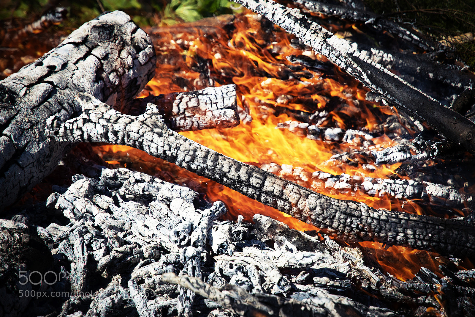Nikon D5500 sample photo. Detail view of burning photography