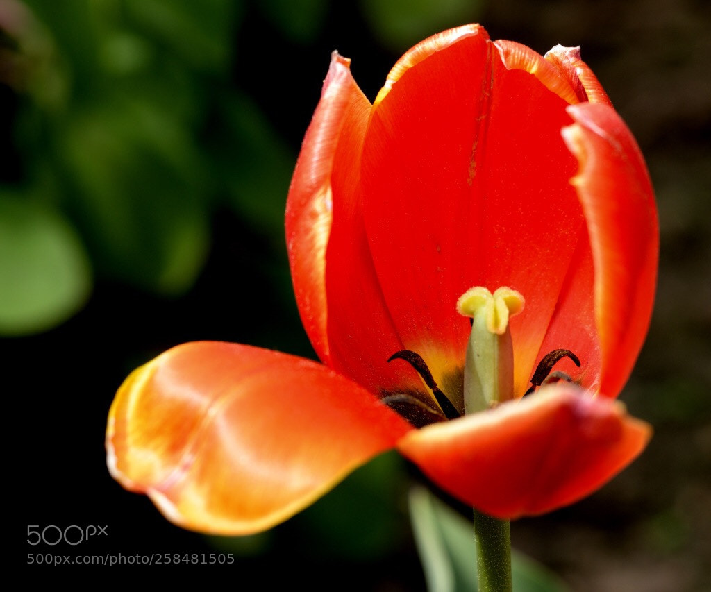 Nikon D3200 sample photo. Untitled photography