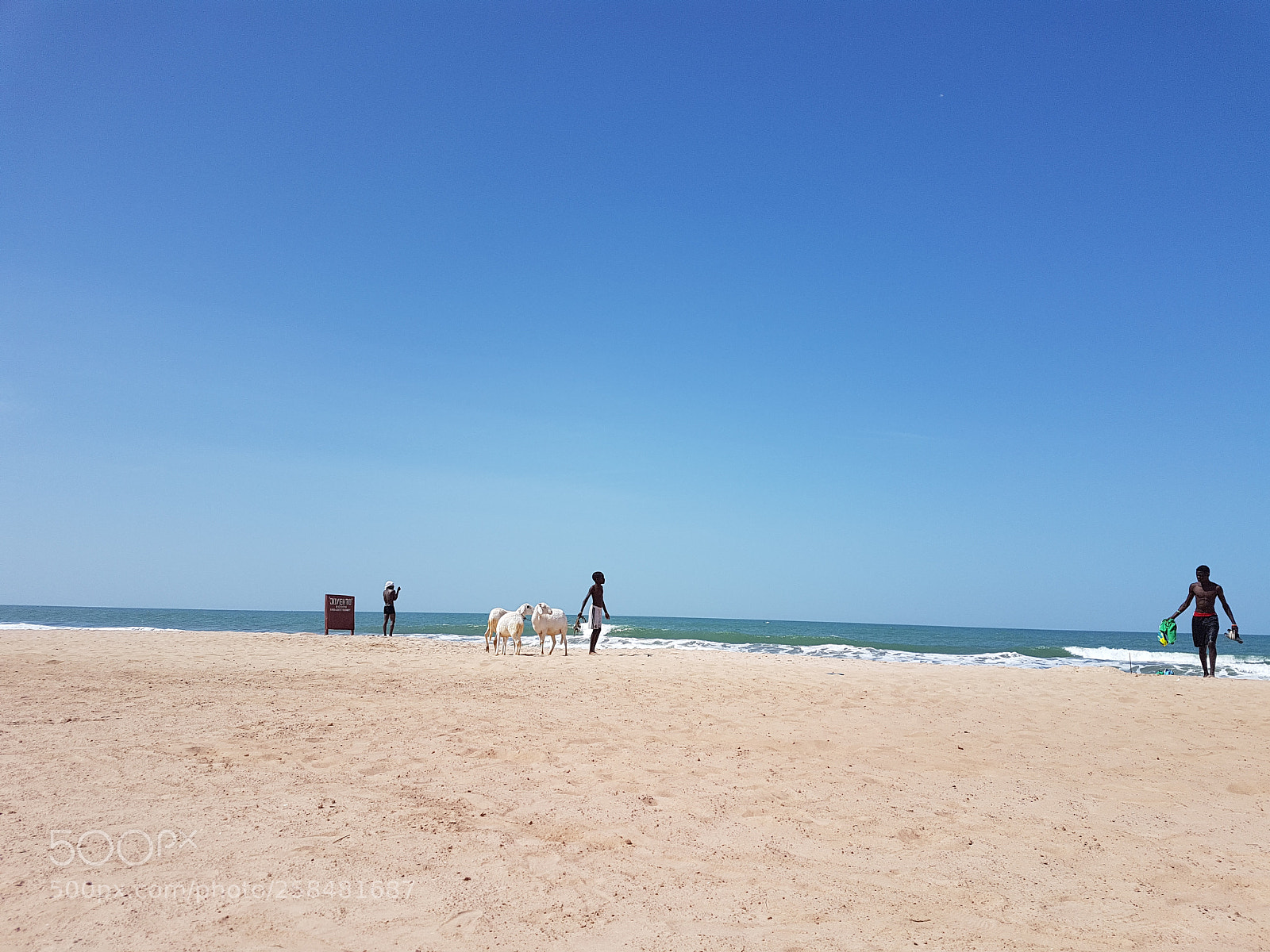 Samsung Galaxy S7 sample photo. Beachgoatsfun photography