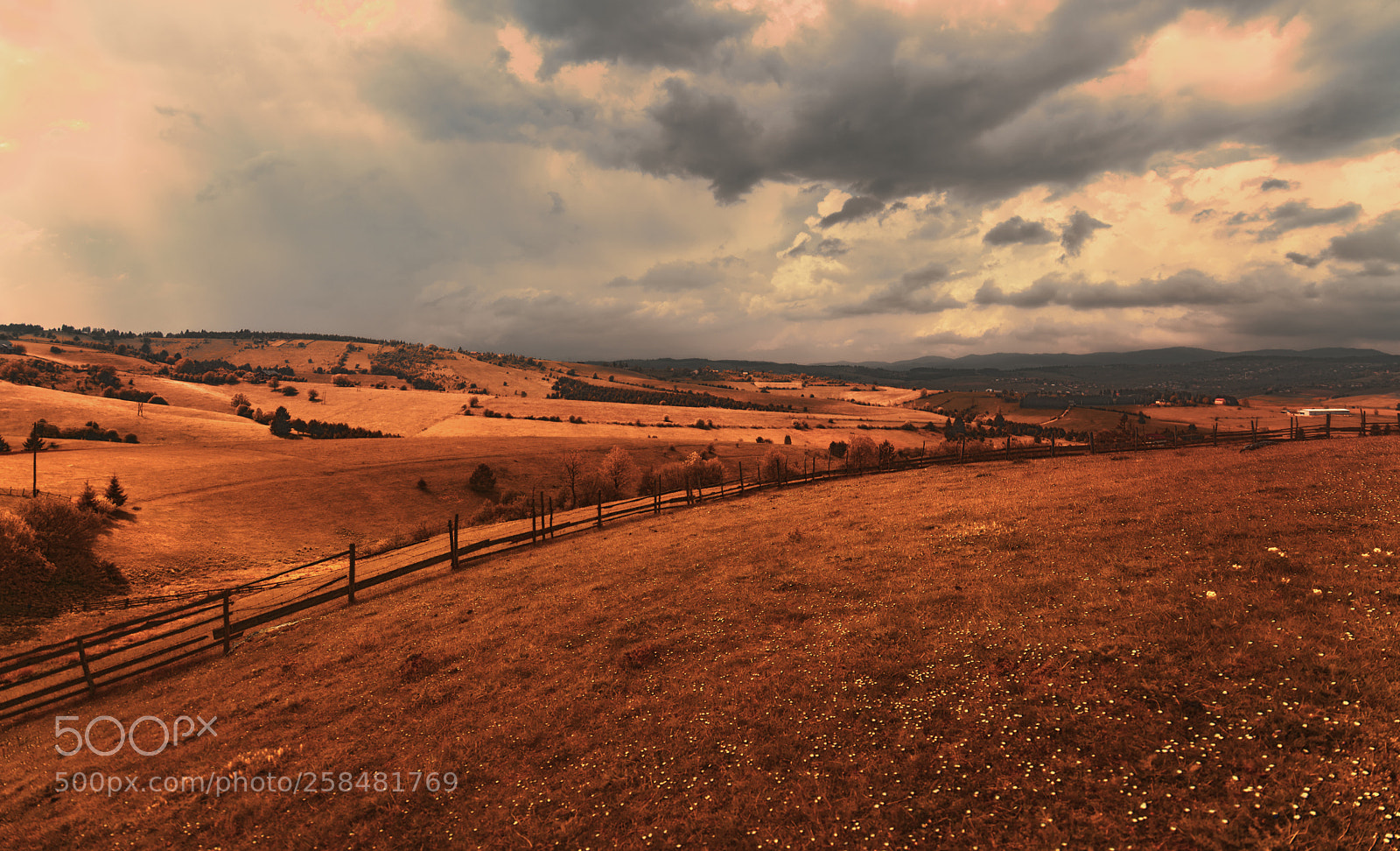 Nikon D610 sample photo. Countryside view photography