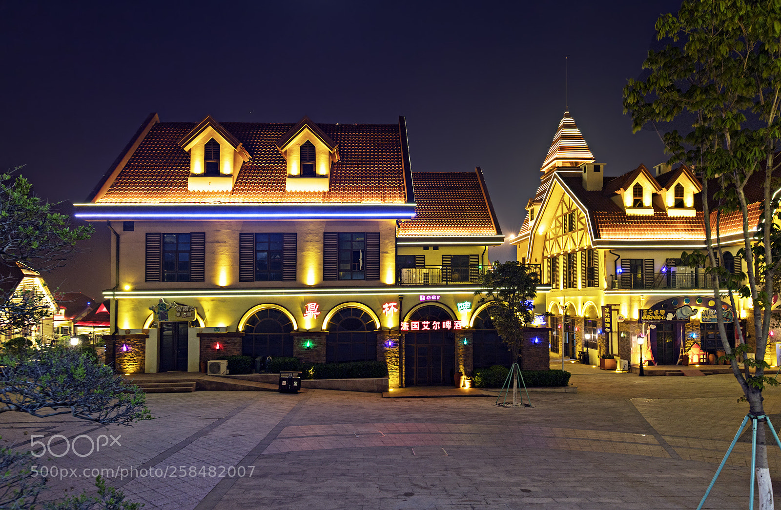 Canon EOS 6D Mark II sample photo. Bear houses at night photography