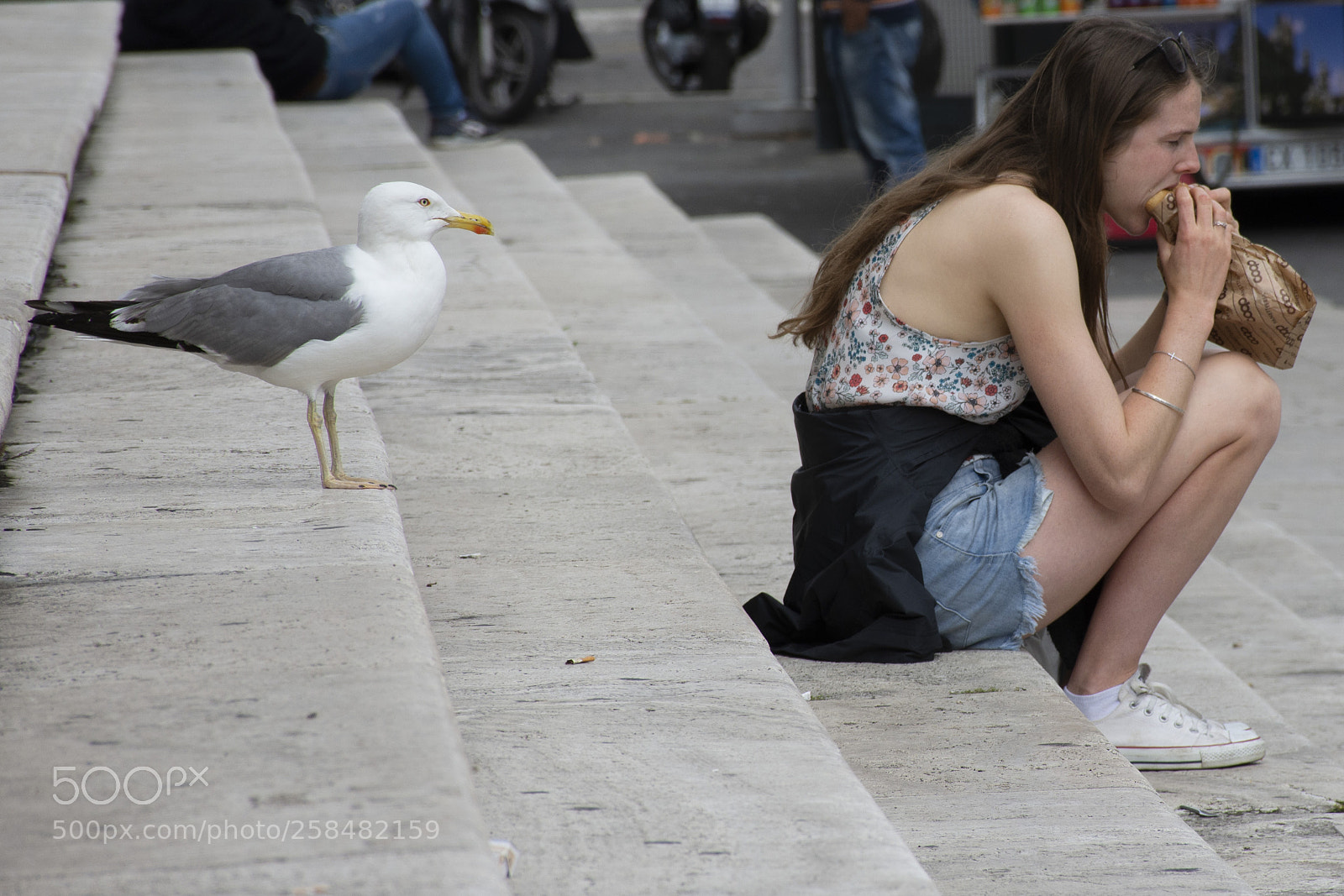 Nikon D7200 sample photo. Waiting photography