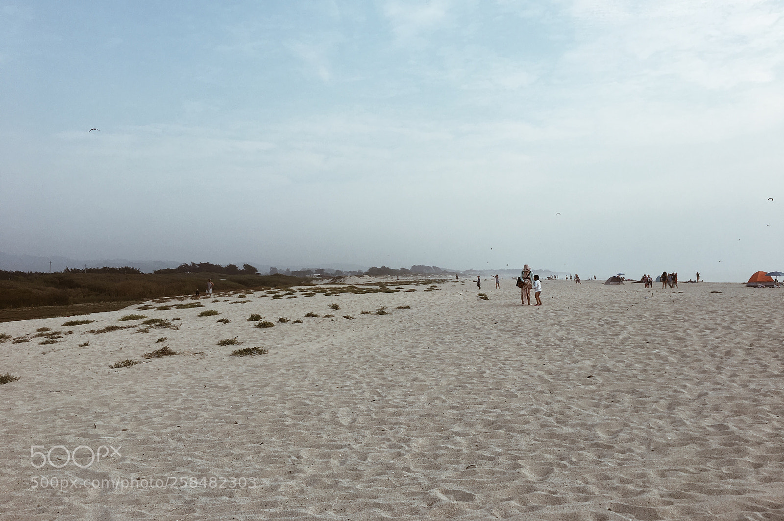 Apple iPhone 6s sample photo. Half moon bay state photography