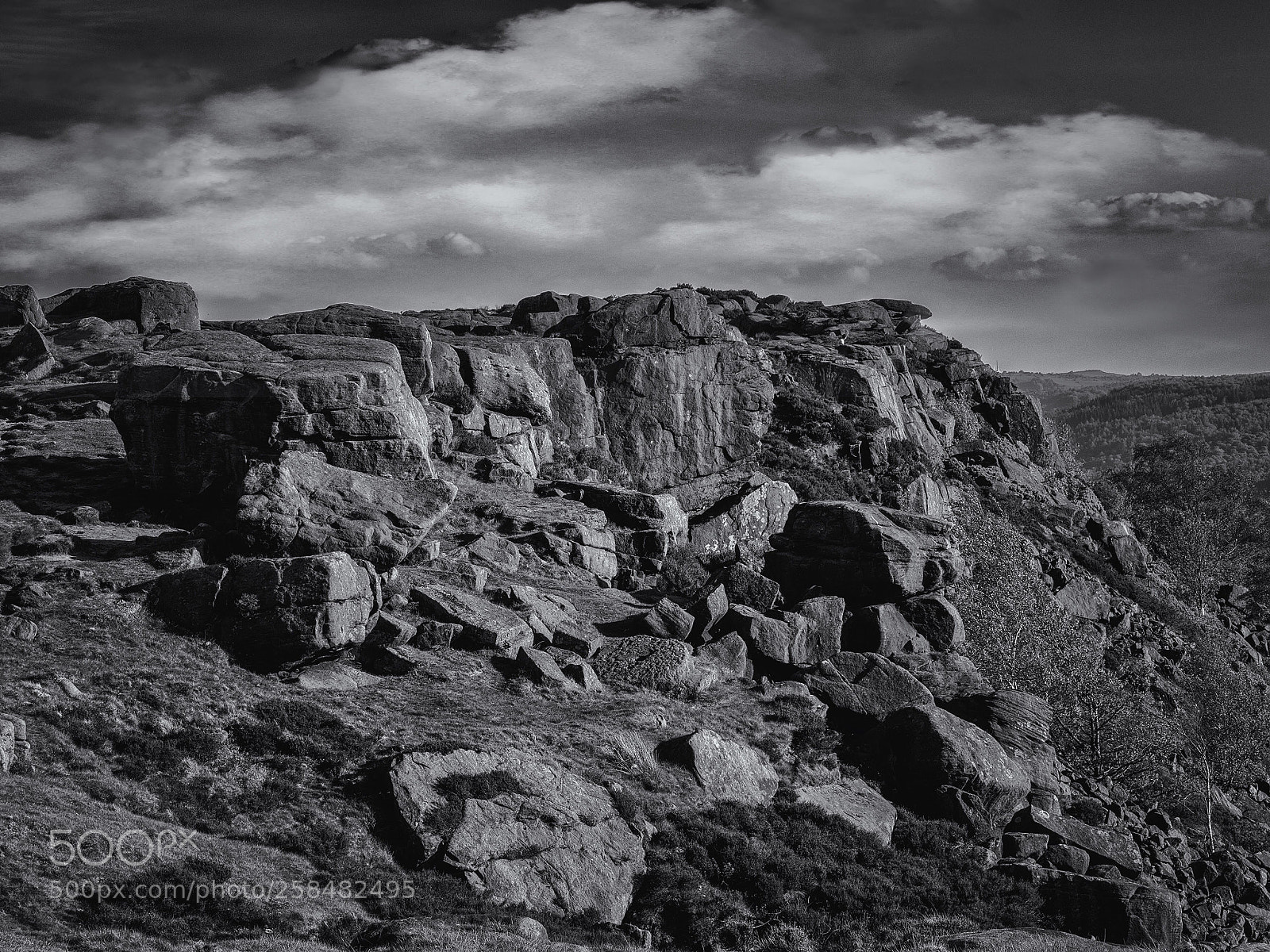 Olympus OM-D E-M5 II sample photo. Along the edge photography