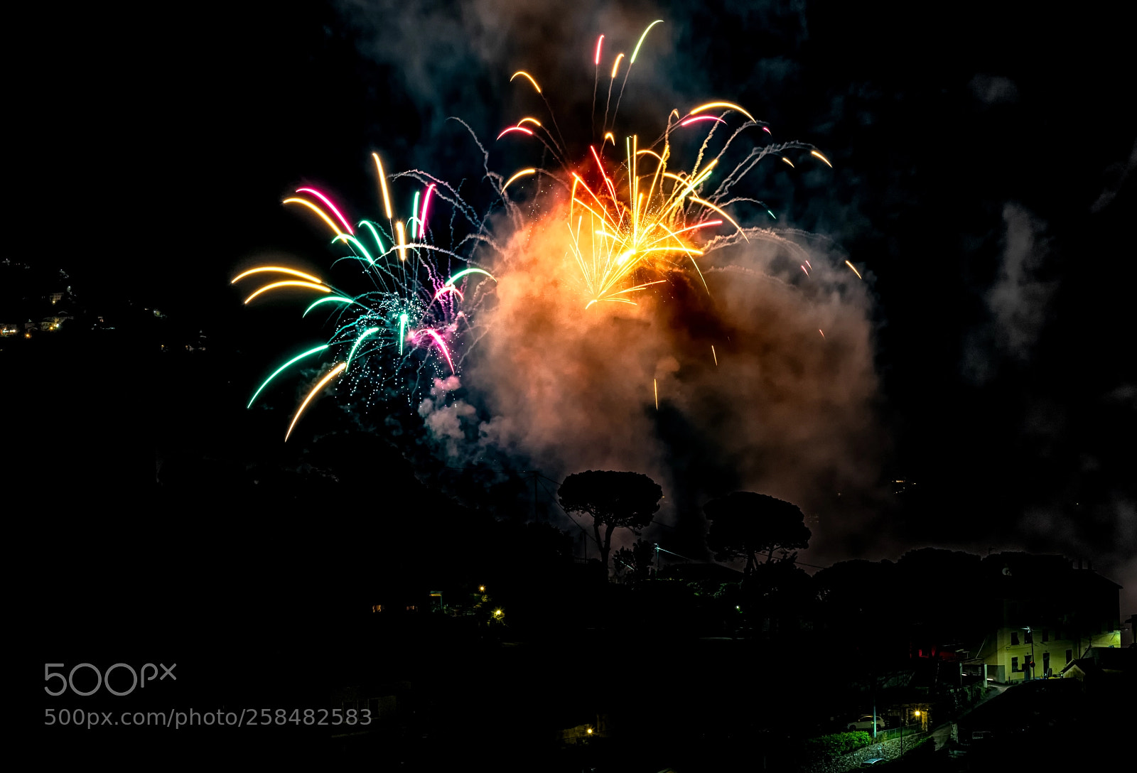 Nikon D810 sample photo. Fireworks in camogli photography