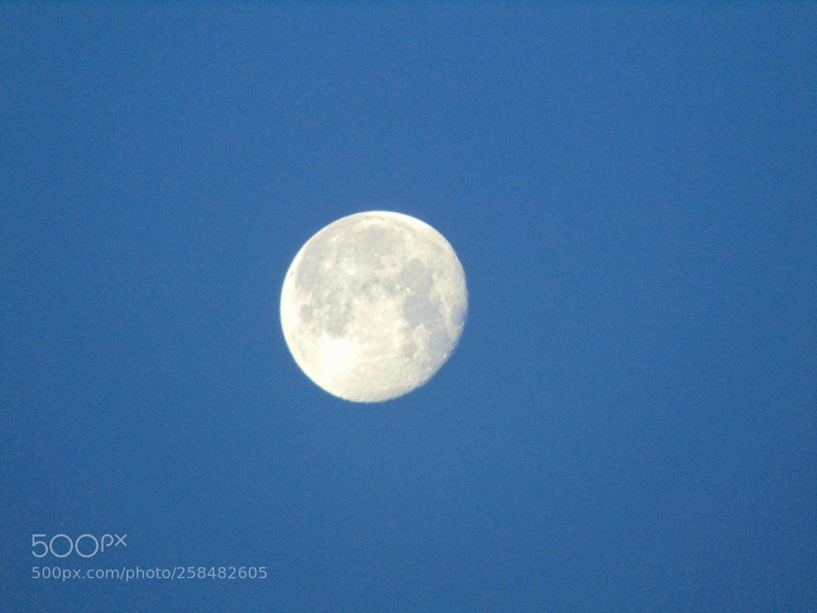 Sony Cyber-shot DSC-H300 sample photo. 009.jpg photography