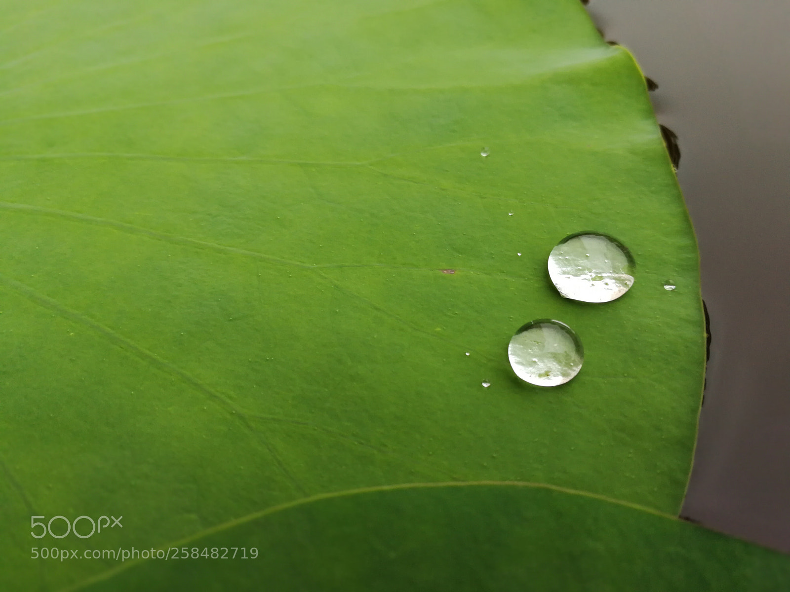 HUAWEI Mate 9 sample photo. Untitled photography