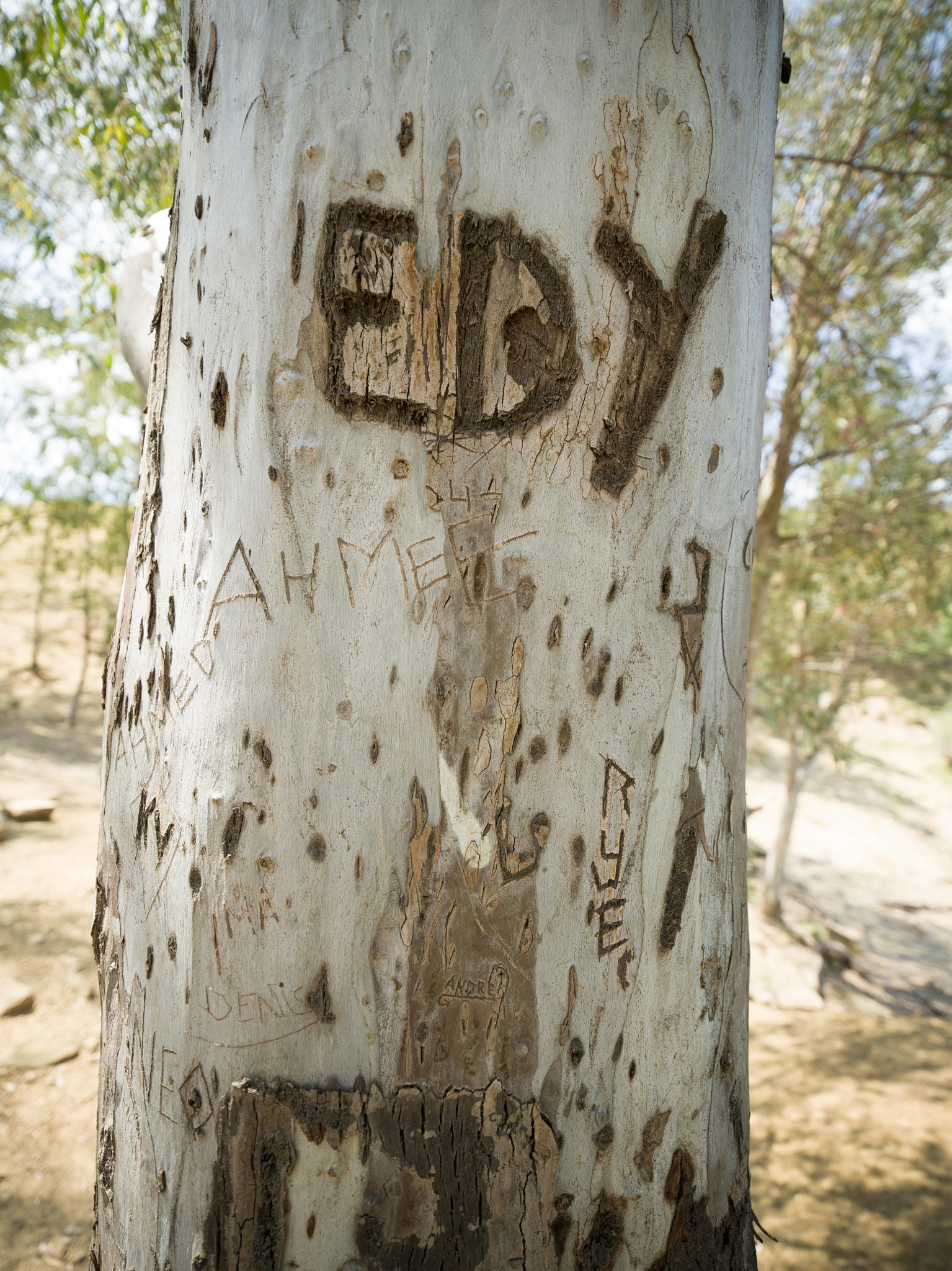 Hasselblad X1D-50c sample photo. Lake el chorro photography