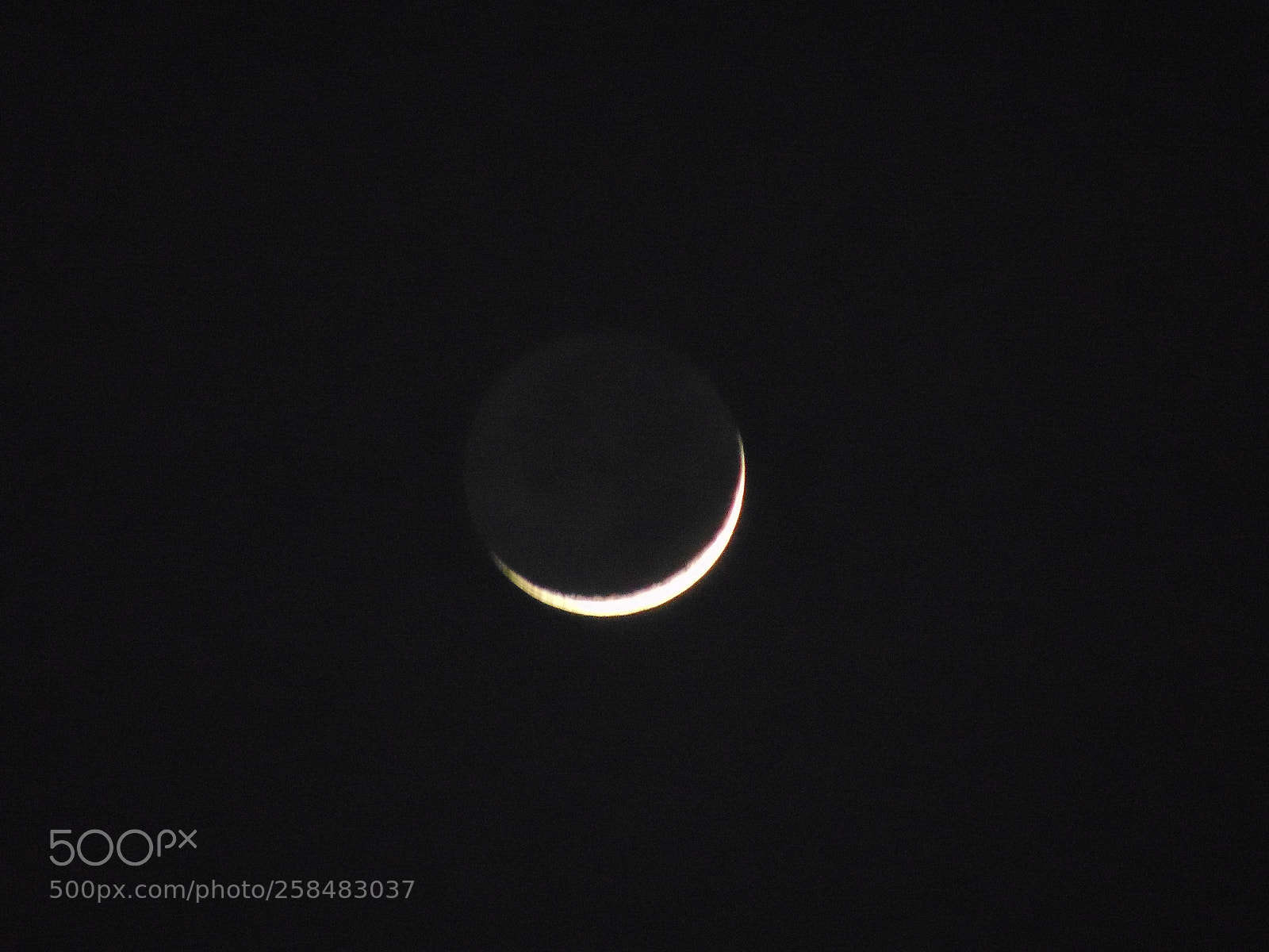 Sony Cyber-shot DSC-H300 sample photo. 014.jpg photography
