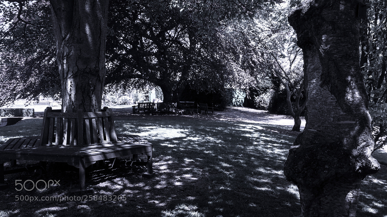 Apple iPhone 5s sample photo. Birmingham botanical gardens bench photography