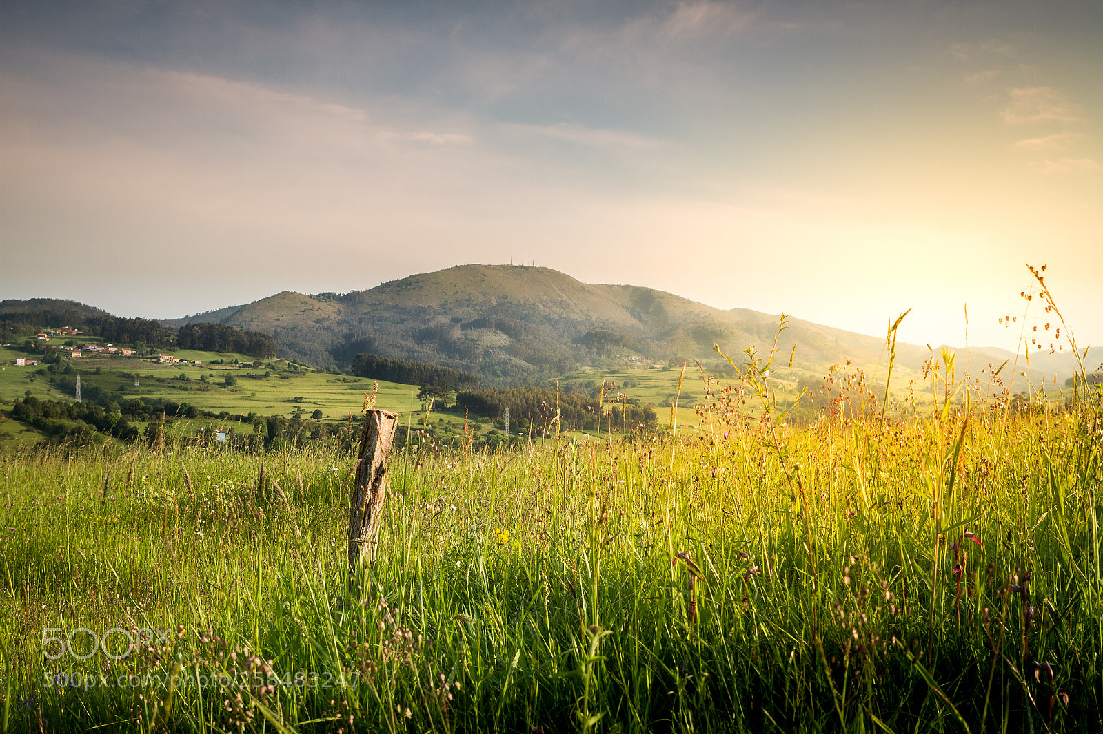 Canon EOS 7D sample photo. Pico friera in callezuela photography