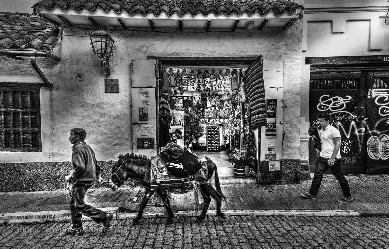 Canon EOS 5DS R sample photo. Going to the market photography
