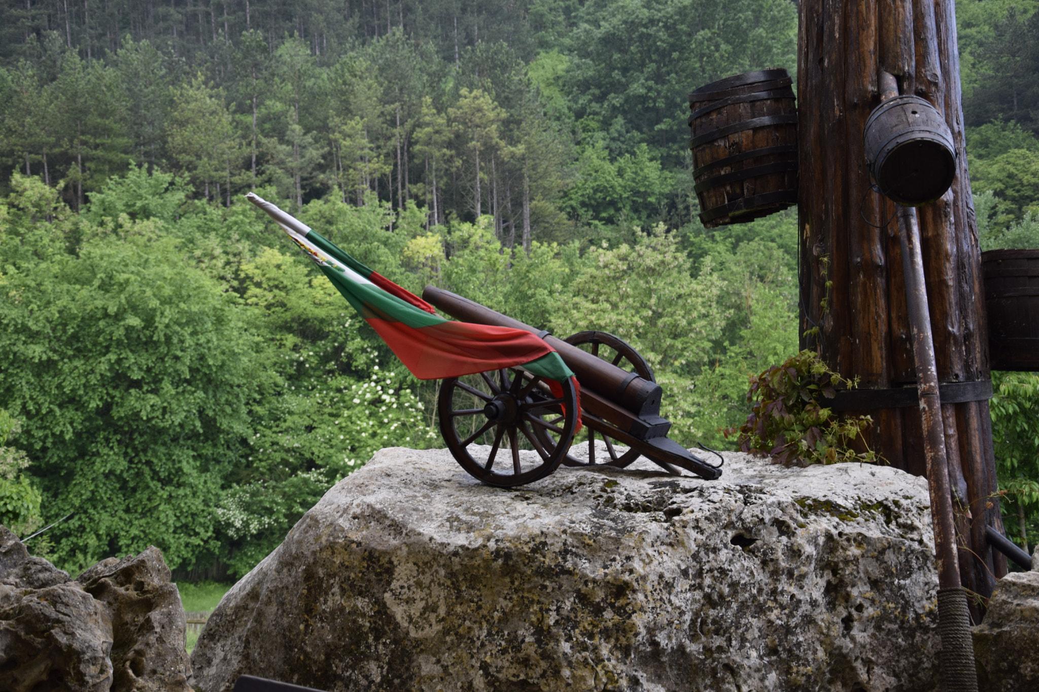 Nikon D5300 sample photo. Rifle with bulgarian flag photography