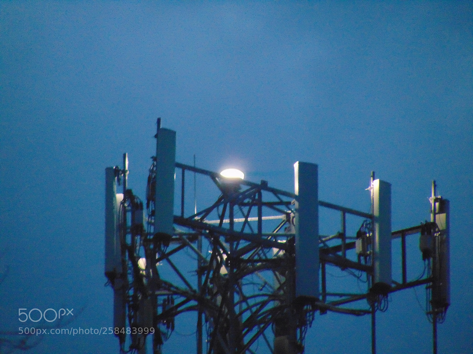 Sony Cyber-shot DSC-H300 sample photo. 029.jpg photography