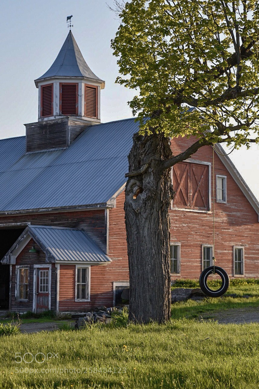 Nikon D750 sample photo. How things used to photography