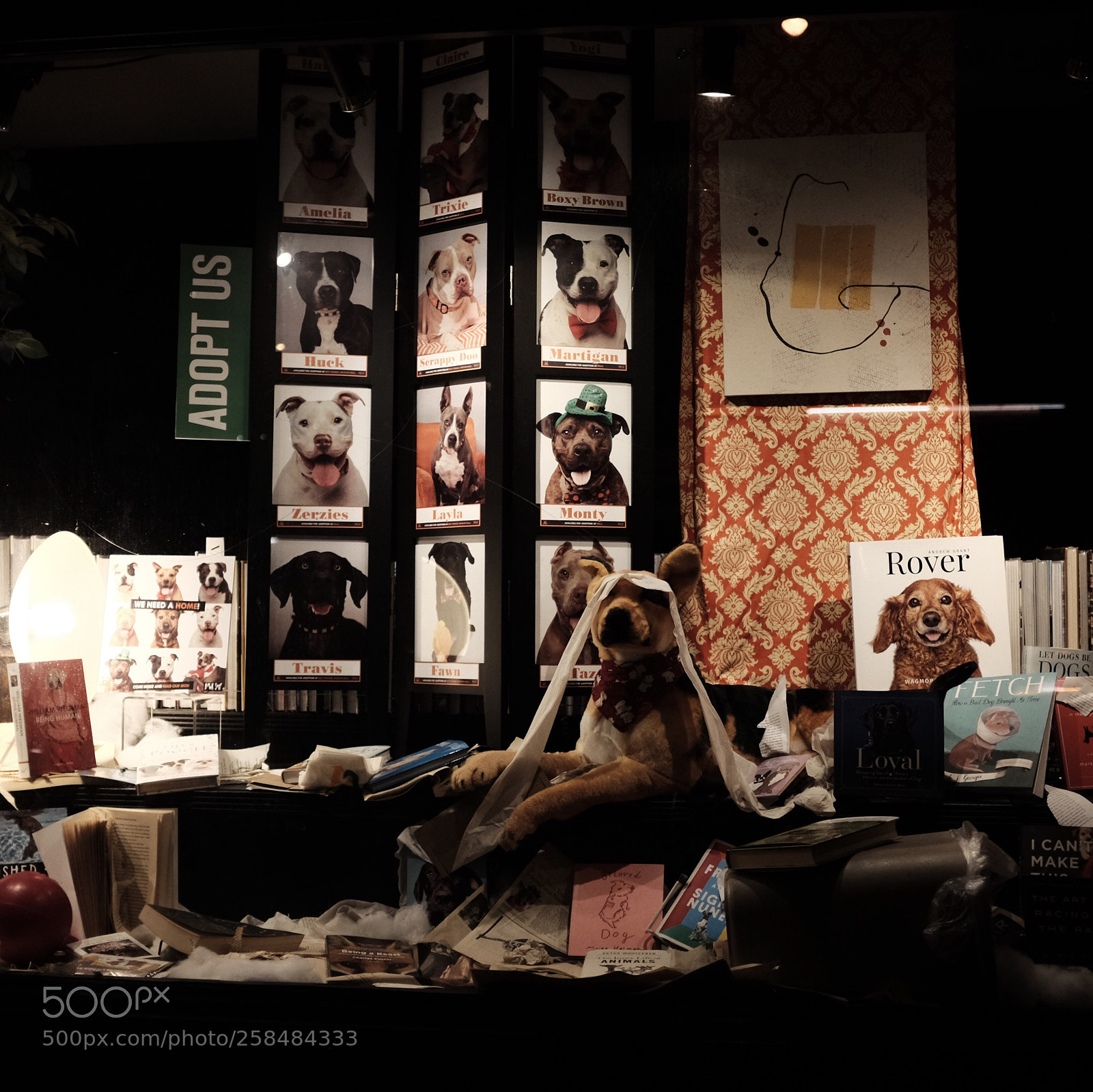 Fujifilm X100T sample photo. Dog adoption display at photography