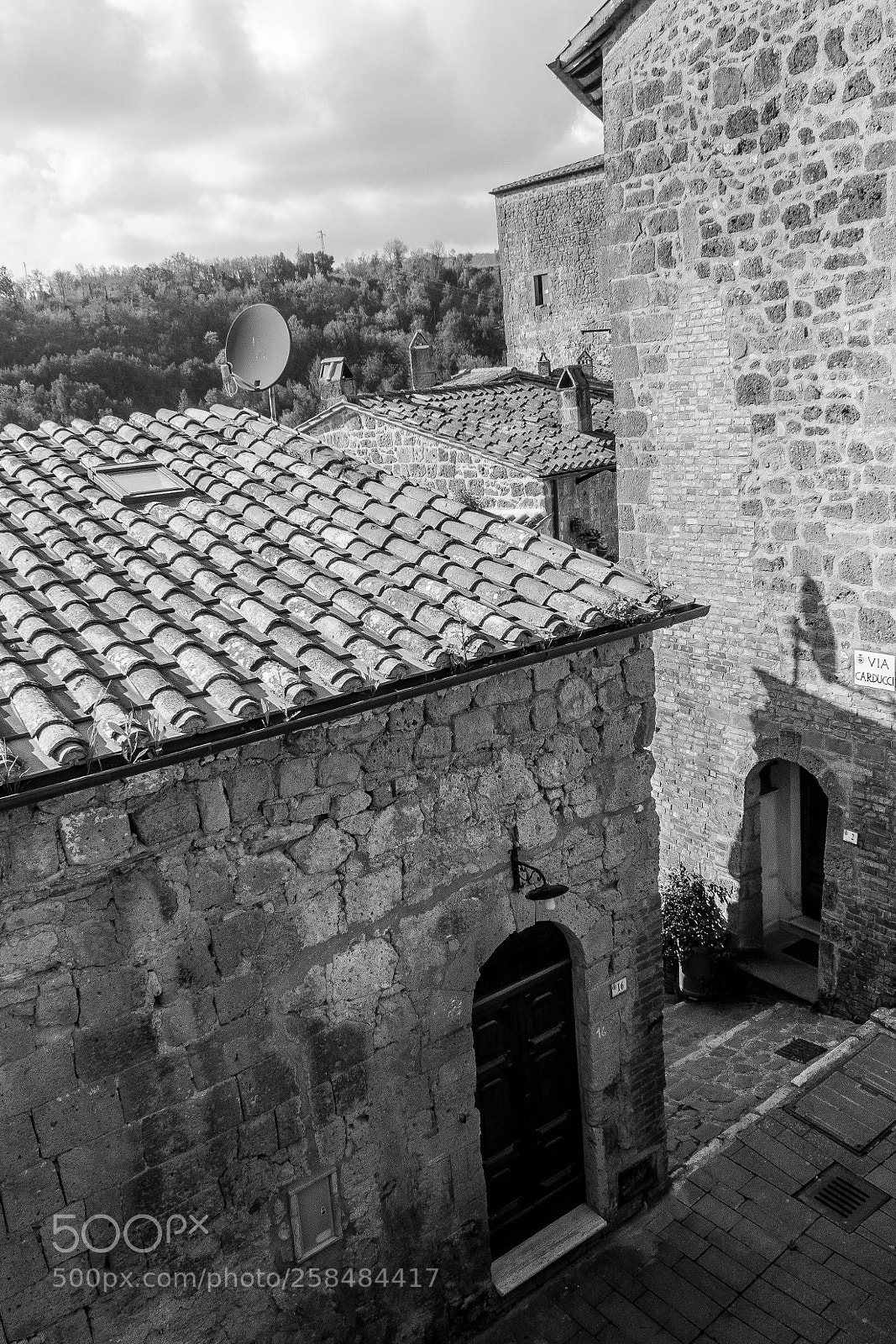 Canon EOS 450D (EOS Rebel XSi / EOS Kiss X2) sample photo. Via carducci photography