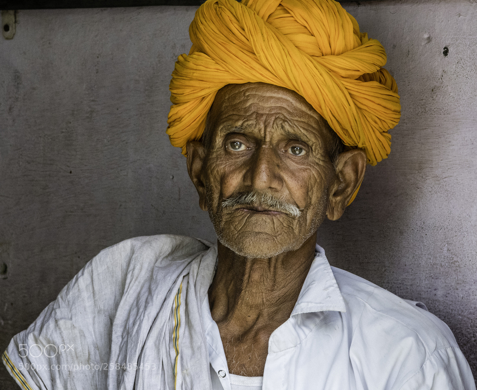 Nikon D500 sample photo. Intense stare photography