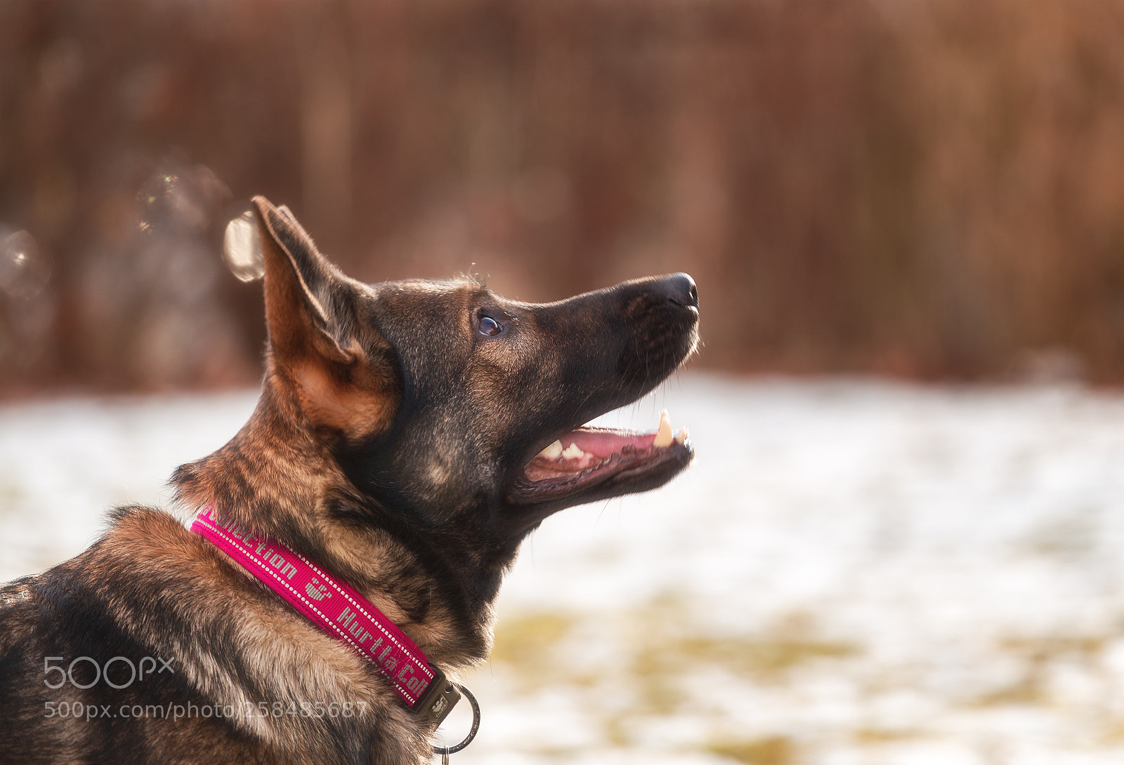 Canon EOS 6D sample photo. Listening to her masters photography