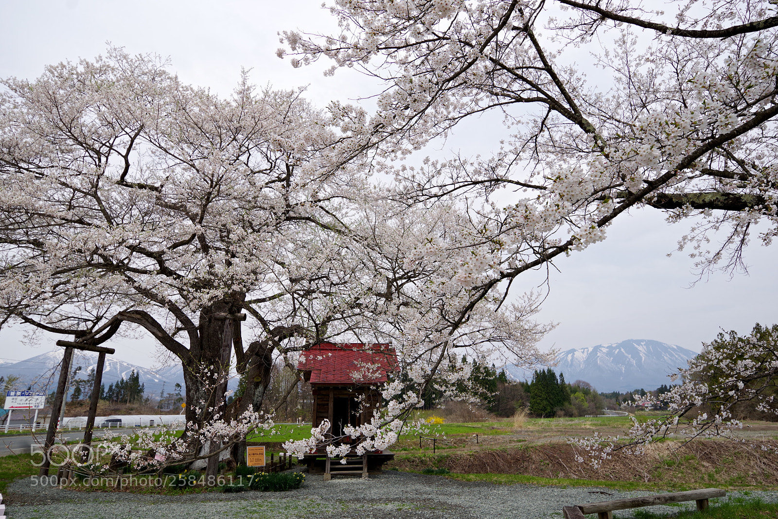 Pentax K-1 sample photo. With the snow peaks photography