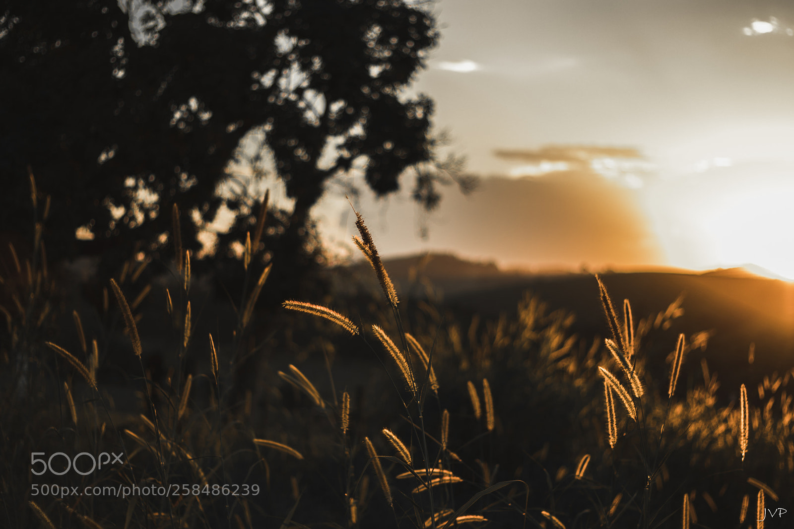 Canon EOS 800D (EOS Rebel T7i / EOS Kiss X9i) sample photo. Friday sunset photography