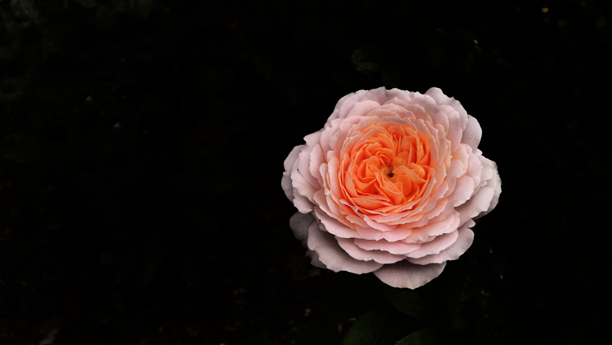 HUAWEI P10 Plus sample photo