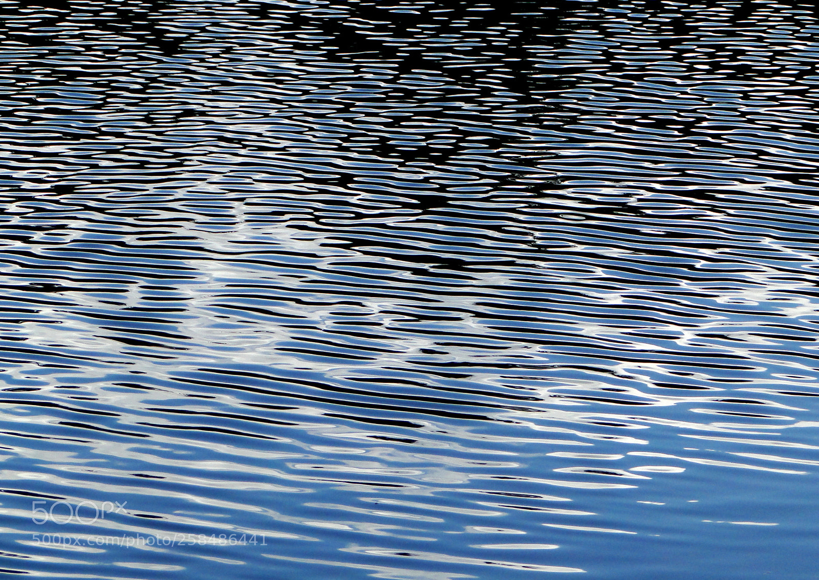 Sony Cyber-shot DSC-HX1 sample photo. Moorsee photography