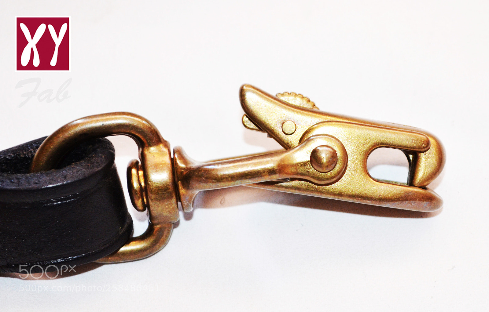 Nikon D5100 sample photo. 1.jpg photography