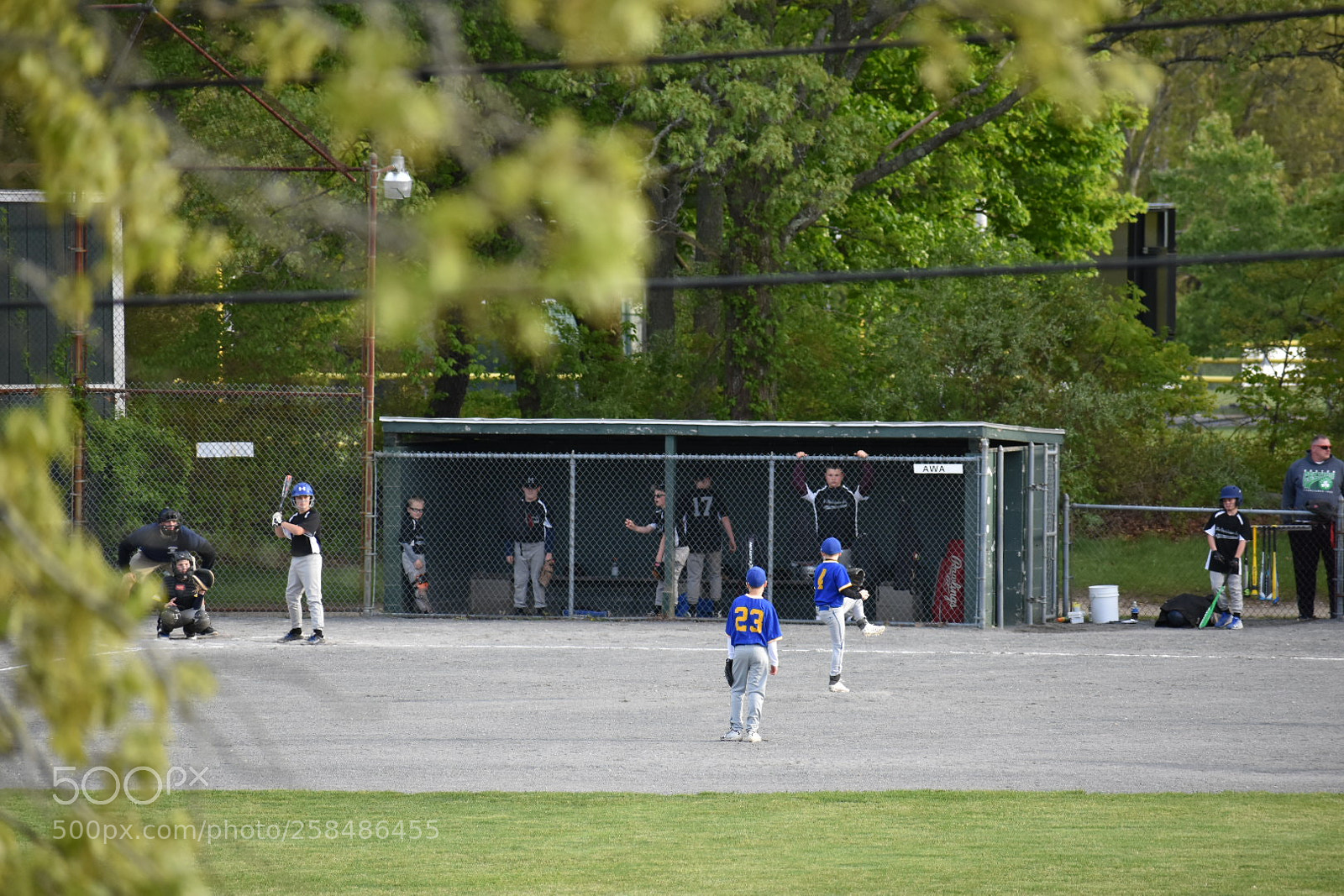 Nikon D3400 sample photo. Summer time photography