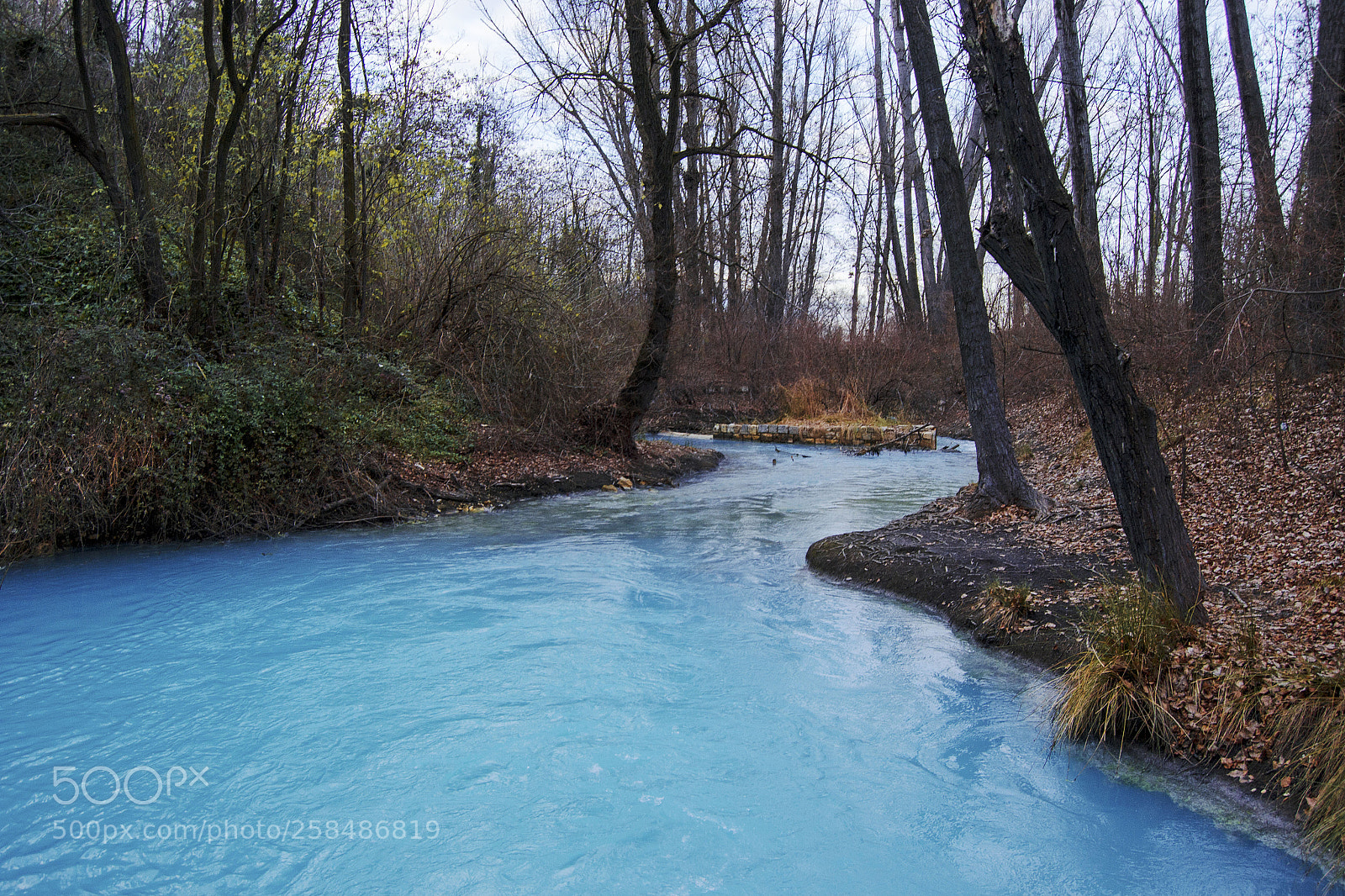 Nikon D3100 sample photo. Parco sorgenti del lavino photography