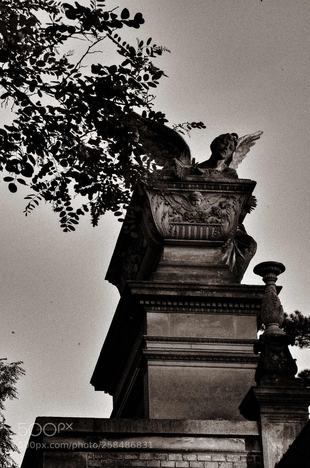 Nikon D7000 sample photo. I'll bring you to photography