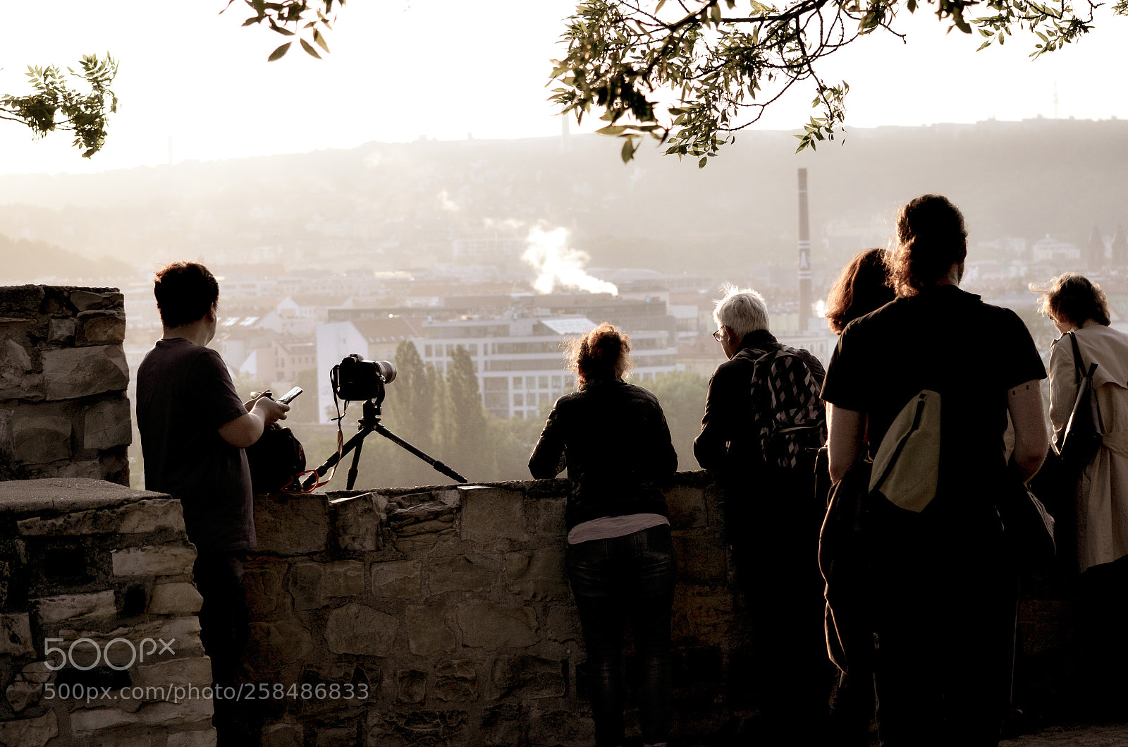 Nikon D7000 sample photo. The scene photography