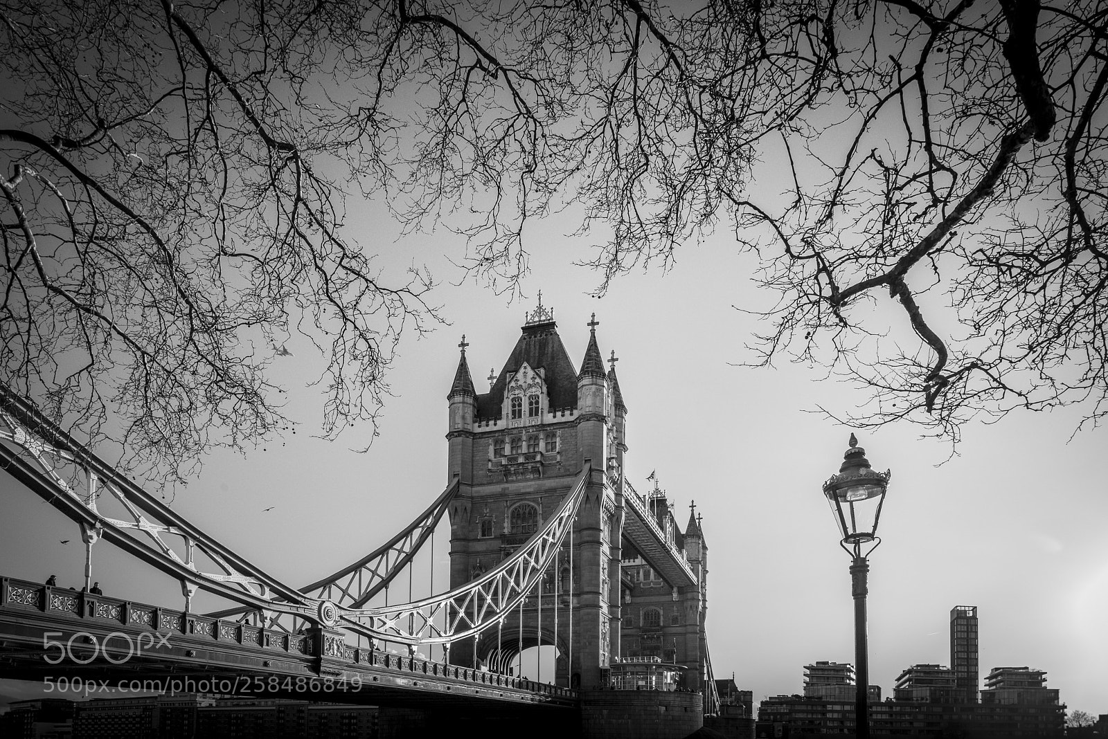Nikon D810 sample photo. The bare bones of photography