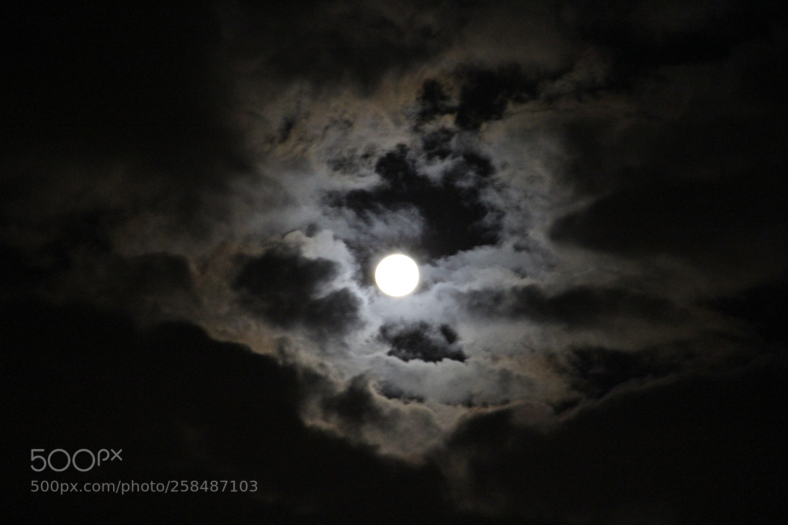 Canon EF-S 18-135mm F3.5-5.6 IS sample photo. ...umut... photography
