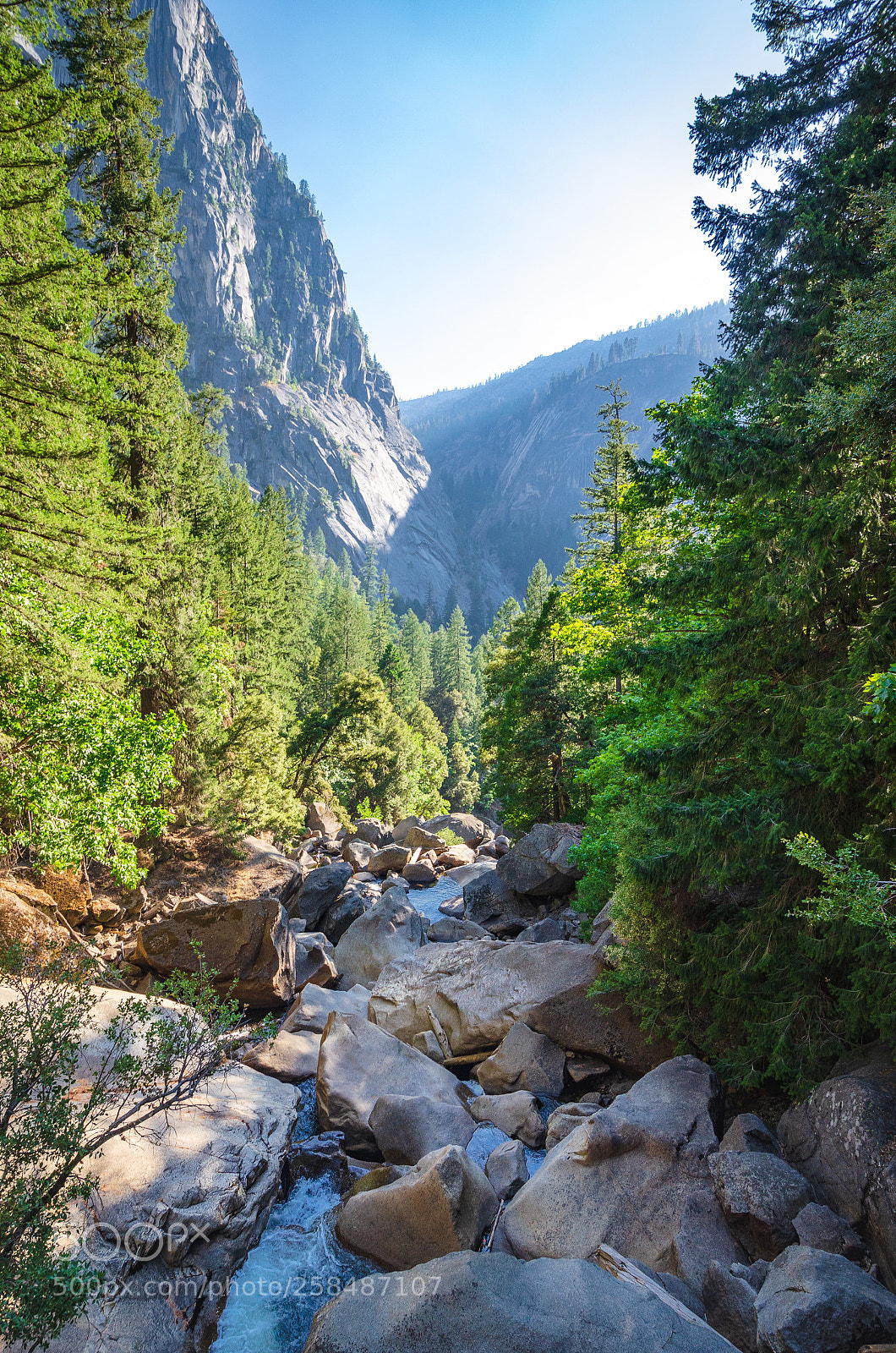 Nikon D5100 sample photo. Yosemite creek photography