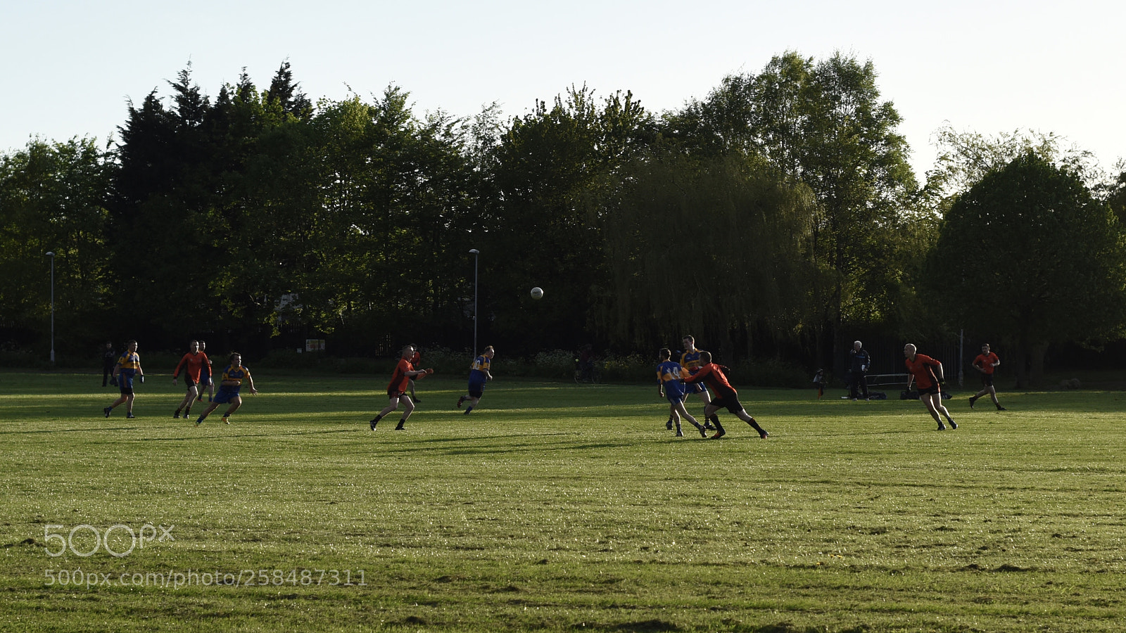 Nikon D810 sample photo. Summer game photography