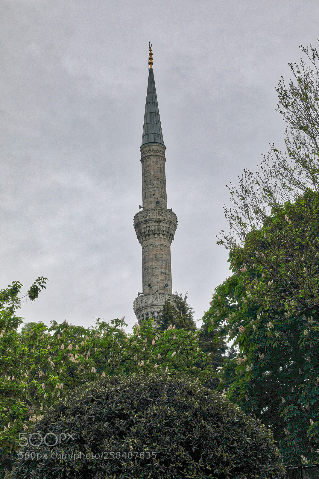 Canon EOS 5D Mark IV sample photo. Minaret of sultan ahmet photography