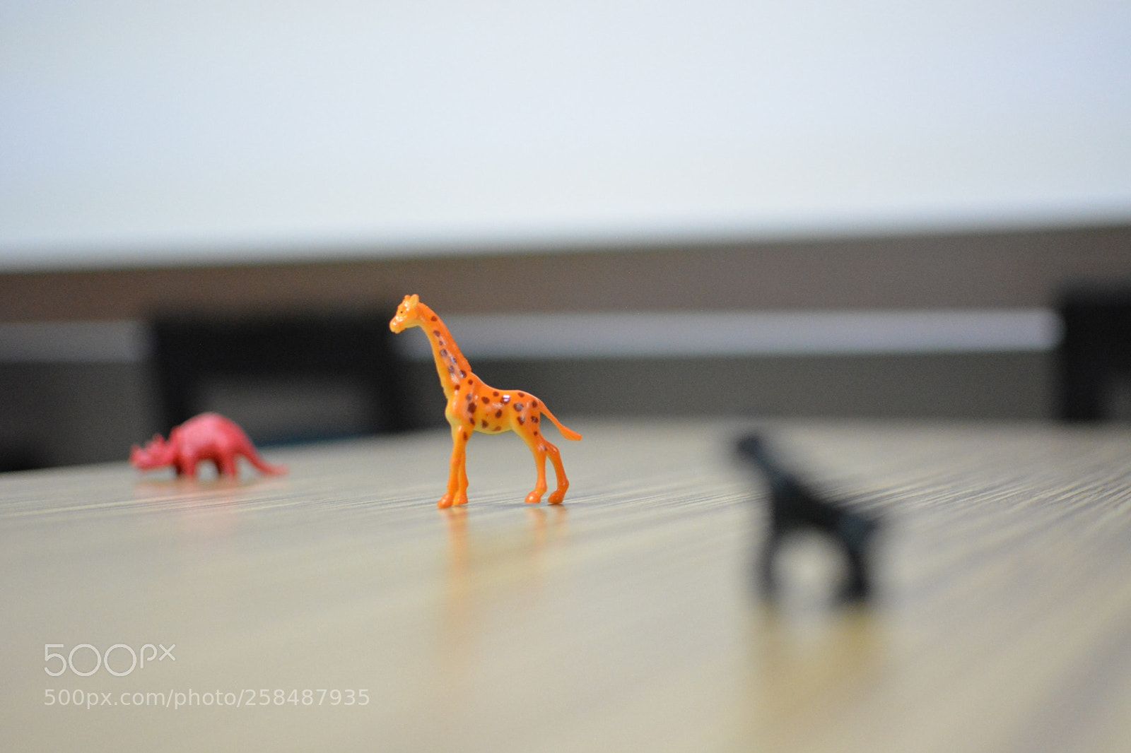 Nikon D5200 sample photo. Untitled photography