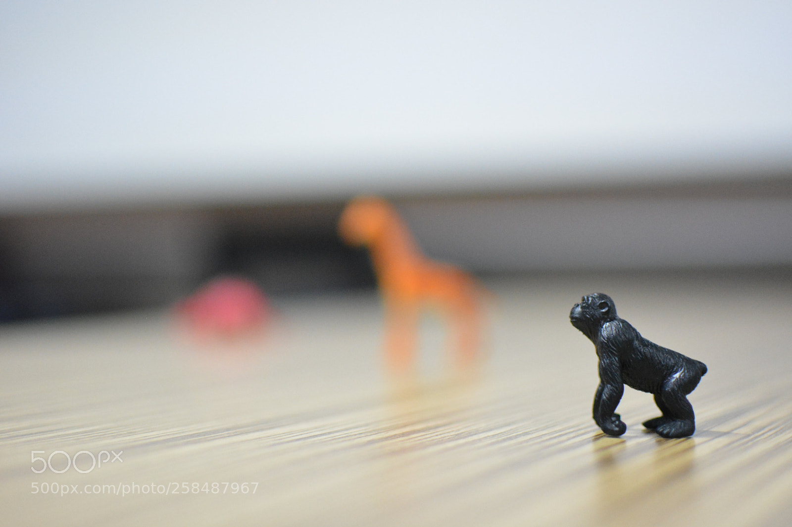 Nikon D5200 sample photo. Untitled photography